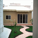 Door & Windows